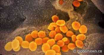 Coronavirus cases in Alberta and B.C. are linked. What does that mean for further spread?