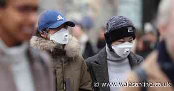 Man in 60s becomes third person with coronavirus to die in UK