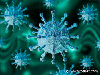 What happens when coronavirus travel bans hit the US?