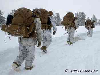 Finland pulled troops from an Arctic military exercise with the US and 8 other countries over coronavirus concerns