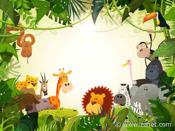 WWF Australia wants charities to keep Do Not Call exemption