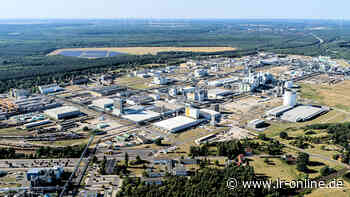 Lausitzer Wirtschaft: In Schwarzheide werden Gewerbeflächen knapp - Lausitzer Rundschau