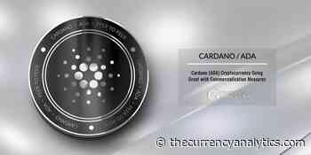 Cardano (ADA) Cryptocurrency Going Great with Commercialization Measures - The Cryptocurrency Analytics