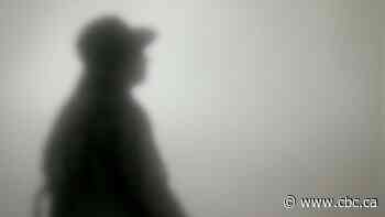 'Barriers' in Canada's legal system complicating fight to end domestic violence