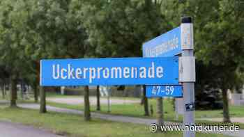 Prenzlau gibt Entwarnung bei Schadstoffen unter Uckerpromenade - nordkurier.de