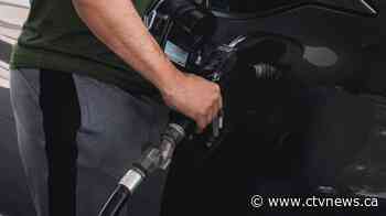 Gas prices in 'freefall' due to coronavirus epidemic