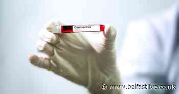 Coronavirus testing results in two more positives in Republic - Belfast Live