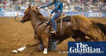 10 years of the Houston rodeo – in pictures | Culture - The Guardian