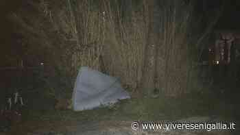 Sull'erba incolta un materasso abbandonato in via Amendola, la protesta di un residente - Vivere Senigallia