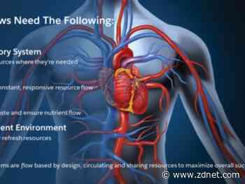 Finding flow: Transforming experiences, offerings and business models