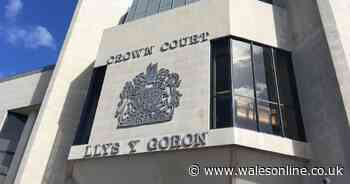 Pensioner with 'twisted sexual urges' jailed for 17 years for sexually abusing young girls