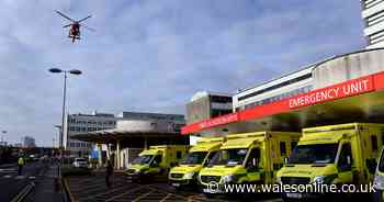 Baby left with terrible paralysis after birth went wrong at University Hospital of Wales