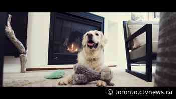 GTA real estate agent dips into romance, comedy and drama to sell homes