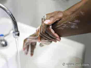 7 hand soaps to fight germs, from cheap to luxury     - CNET