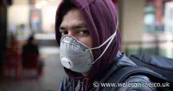 Coronavirus myths and misinformation that won't prevent you getting the virus