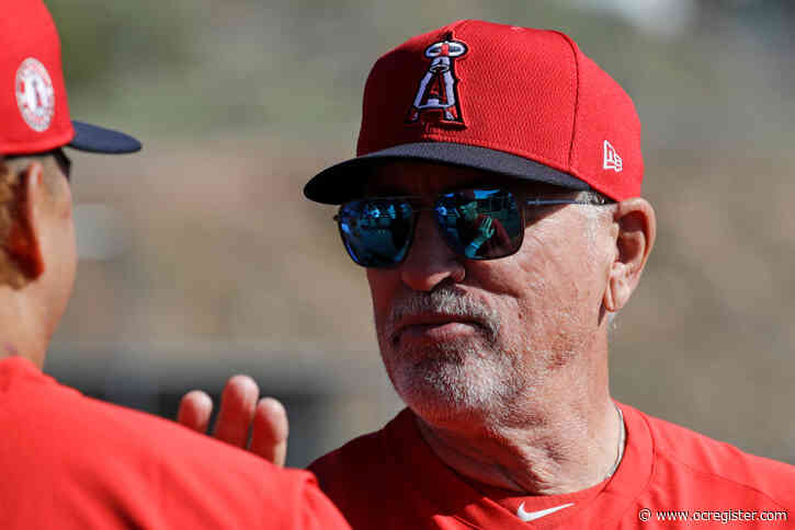 Joe Maddon has Angels working on bunting for hits
