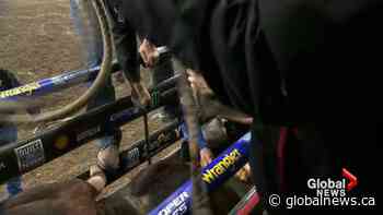 Lethbridge man reflects on announcing career at rodeos and professional bull-riding events