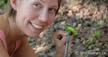 Blake Schreiner’s partner Tammy Brown suffered multiple stab wounds in 2019 Saskatoon killing