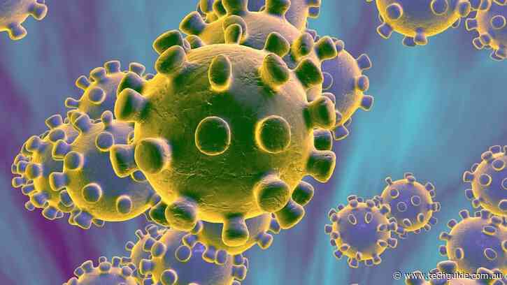 Cyber criminals exploiting coronavirus fears to pull off their latest scams