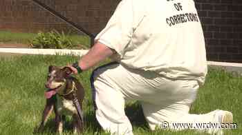 Dogs and offenders save each other at Augusta State Medical Prison - WRDW-TV