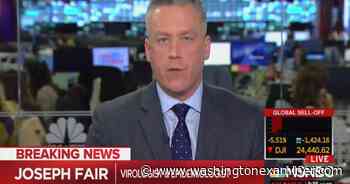 WATCH: MSNBC medical contributor says '80% of the population' will survive coronavirus - Washington Examiner