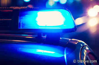 Brentwood woman with multiple medical issues found dead - TribLIVE