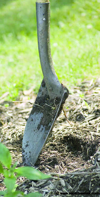 Soil science unearths a benefit from dirt
