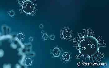 Coronavirus to affect Bulgaria's tourism, IT, automotive sectors - Euler Hermes - SeeNews