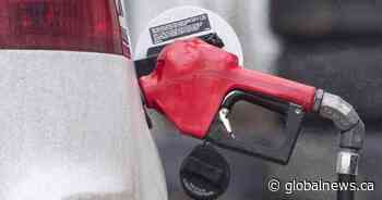 Toronto-area gas prices set to fall 10 cents amid oil price drop, COVID-19: analyst - Global News