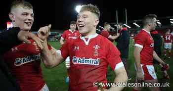 Meet the Wales team who actually beat England and the Welsh kid applauded off - Wales Online