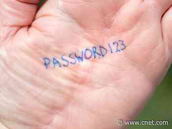 Password managers: A little pain for a lot of security     - CNET