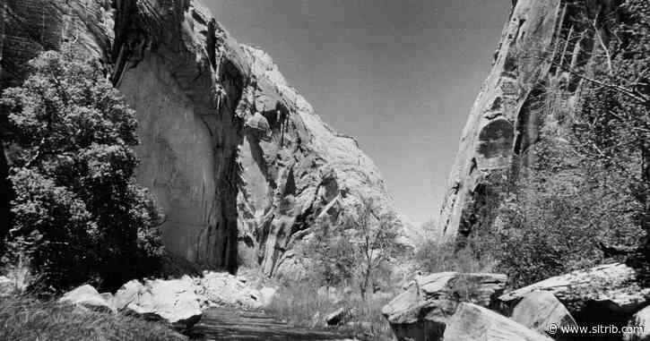 Cattle could return to Escalante tributaries under new Grand Staircase monument plan