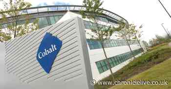 Workers in Cobalt office sent home as employee is tested for coronavirus