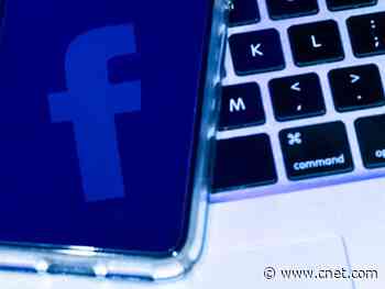 Facebook launches Community Accelerator to train online leaders     - CNET