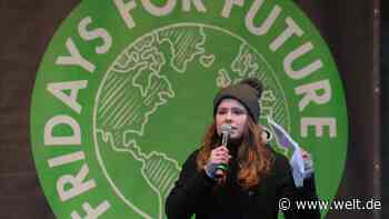 „Fridays for Future“-Unternehmen gegründet – ohne Luisa Neubauers Wissen