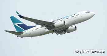 How are Canada’s biggest airlines cleaning planes amid coronavirus outbreak?