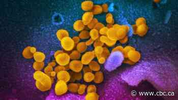 Ontario confirms 1 new COVID-19 case in Toronto