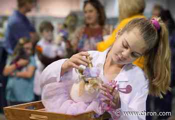 RodeoHouston's rabbit costume contest grows in popularity, exhibitors