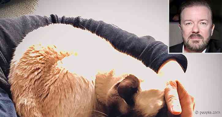Ricky Gervais Mourns Death of 16-Year-Old Cat Ollie: 'Sweetest Little Soul I've Ever Known'