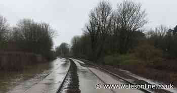 Cardiff to Bridgend rail services disrupted after flooding in St Fagans