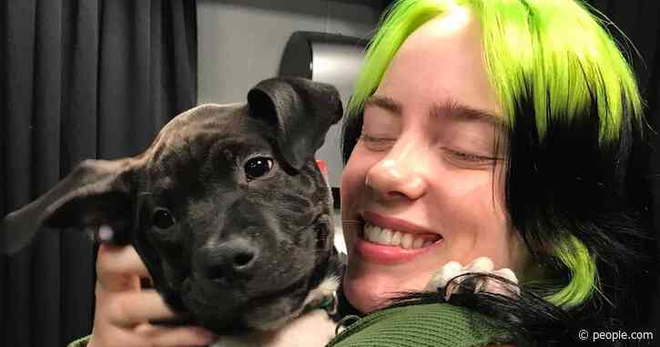 Billie Eilish Gets a Sweet Visit from Shelter Puppies Before Kicking Off Her Tour in Miami