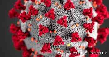 Everything we know as first County Durham coronavirus case is confirmed