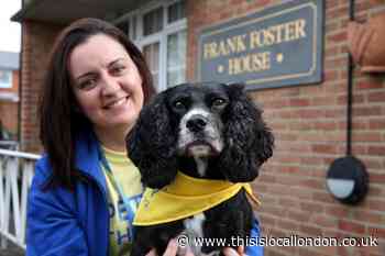 Buckhurst Hill vet manager and dog become pet therapy volunteers