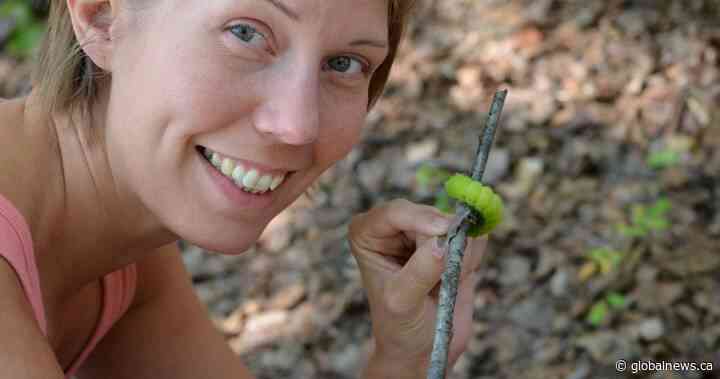 Blake Schreiner’s partner Tammy Brown suffered multiple stab wounds in 2019 Saskatoon killing - Global News