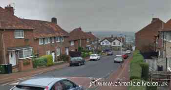Two suspected thieves arrested after neighbour spotted teens pushing motorbike down Gateshead street