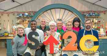 Celebrity Bake Off line up: Who are the contestants of 2020 and when does it start?