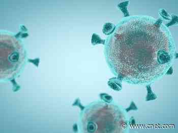 Engineer who went to RSA security conference tests positive for COVID-19     - CNET