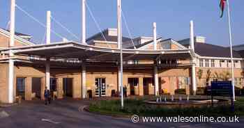 Cwm Taf health board fails to post a single job advert for a permanent A&E consultant in nearly 12 months