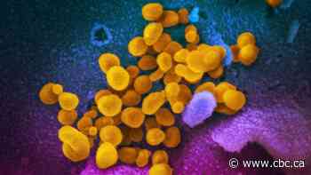 Alberta cases of COVID-19 doubles to 14, medical officer reports