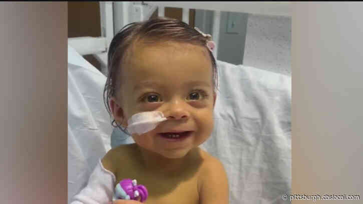 ‘We Were Watching Our Daughter Die’: Father Provides Life-Saving Transplant For 15-Month-Old Daughter At UPMC Children’s Hospital